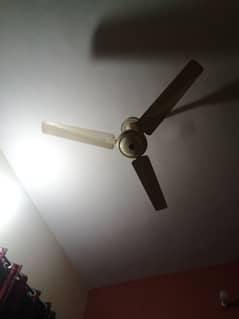 ceiling fan urgent sale