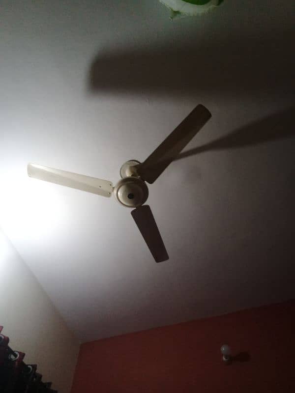 ceiling fan urgent sale 1