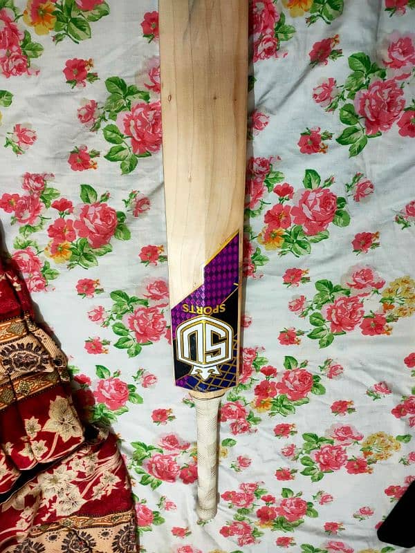 English willow professional bat 1