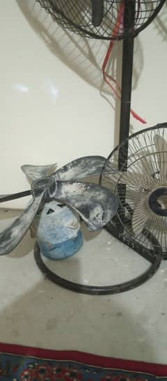 Fan AC & DC