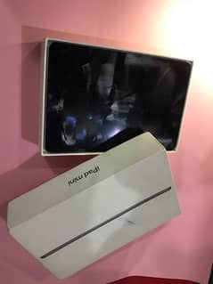 ipad mini 5