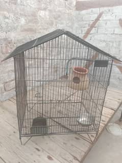 Pinjra Cage birds