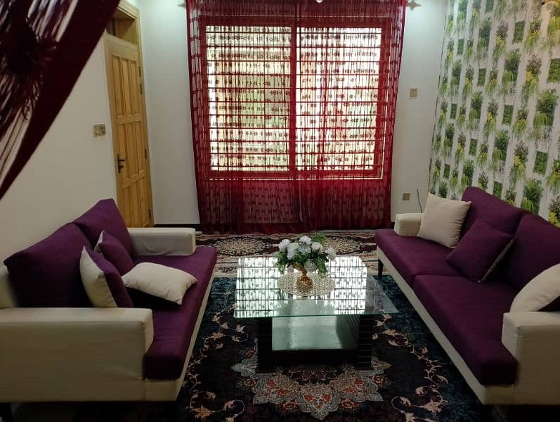 sofa carpet and curtain with table 2