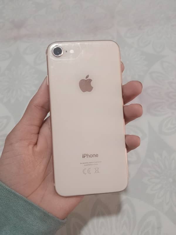 iphone8 jv 64gb 03154919977 whatsap contact 2