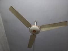 Sufi ceiling fan