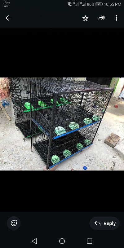 Birds Cage 6