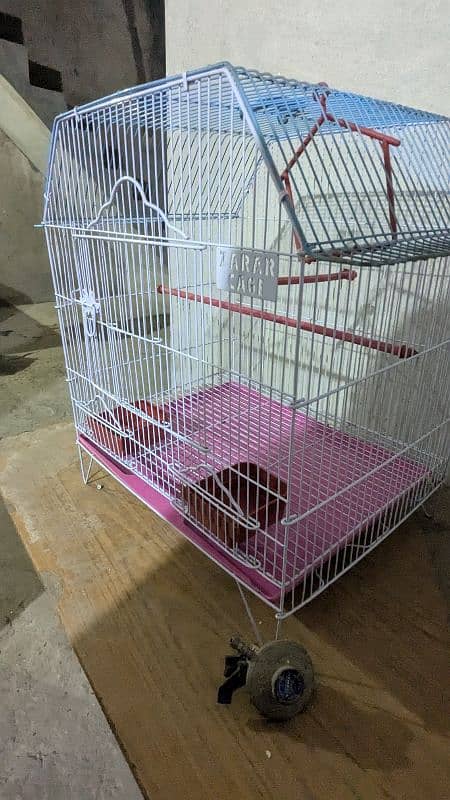 cage for parrots, Parrot cage 2