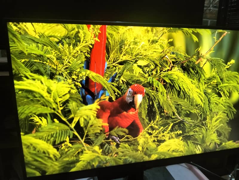 LG 144 hz HDR10 24gn65r-b 24" inches IPS 1ms response 1