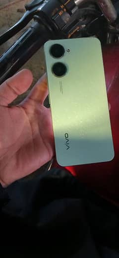 vivo