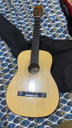 Acoustic guitar