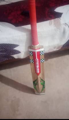 cricket bat