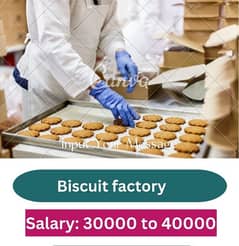 Need staff biscuits factory 40000