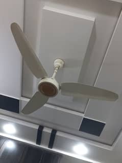 ceiling Fan