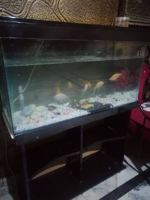 Fish Aquarium 3ft Size 0