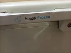 Pel deep freezer urgent sale