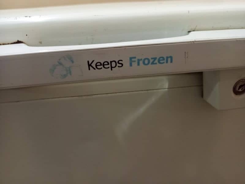 Pel deep freezer urgent sale 0