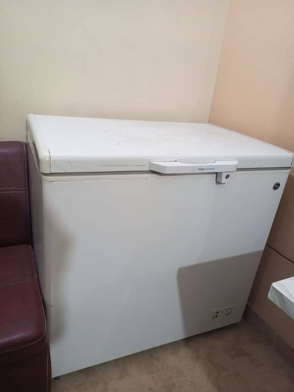 Pel deep freezer urgent sale 6