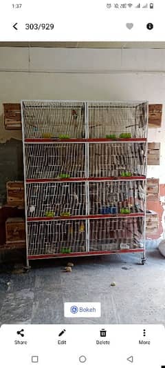 8 portion cage03007862425