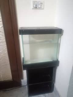 Fish Aquarium