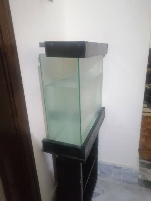 Fish Aquarium 1