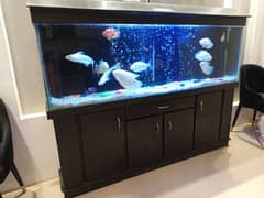 6 Feet Aquarium