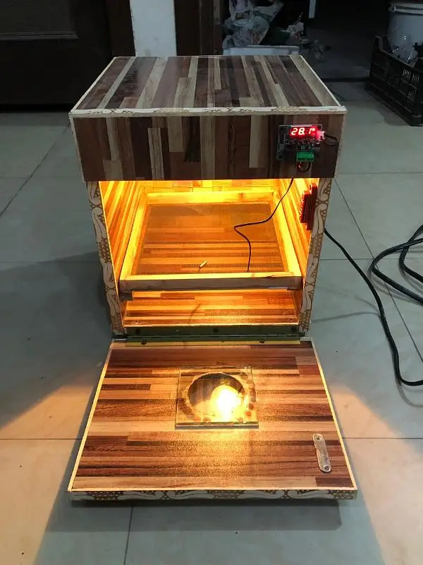 30 eggs incubator