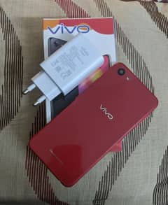 vivo