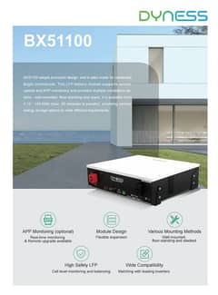 DYNESS LITHIUM ION BATTERY 51.2 V 100 Ah 1C 6000 Cycles