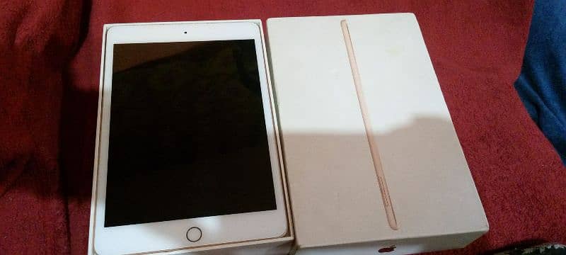 iPad mini 5 good condition box charger handsfree 64GB 1