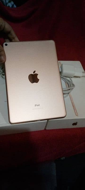 iPad mini 5 good condition box charger handsfree 64GB 10