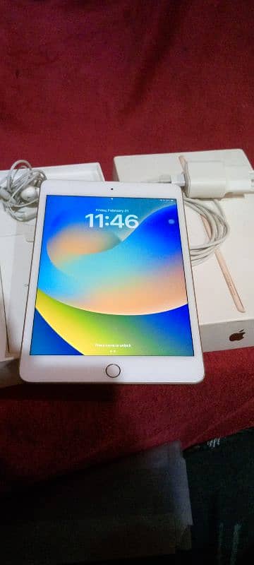 iPad mini 5 good condition box charger handsfree 64GB 13