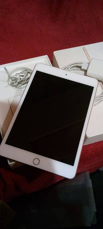 iPad mini 5 good condition box charger handsfree 64GB 14