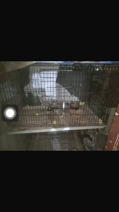 Master Cage For Grey and  Ringneck/ breeding box also Available 4 sale