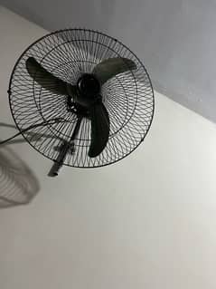 fans for sell