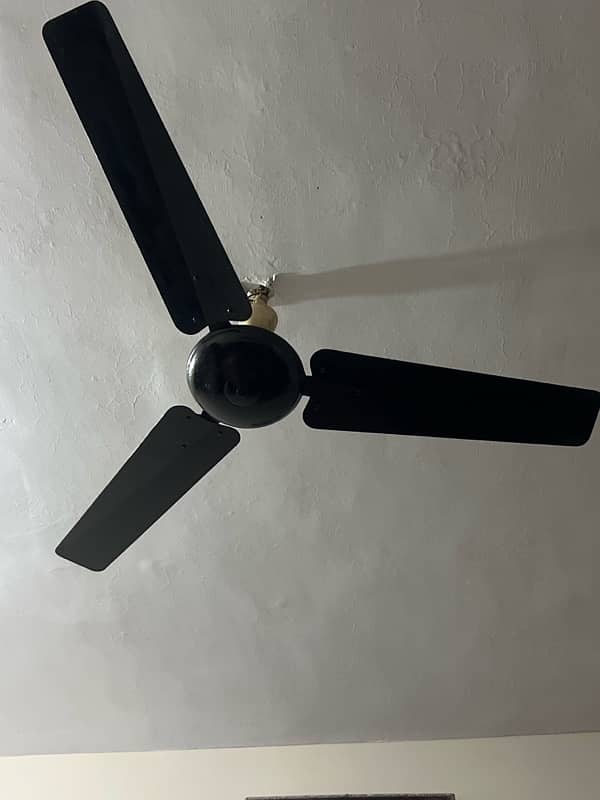 fans for sell 1