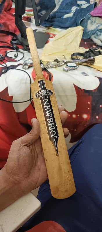 Shahid Afridi Signatured Mini Bat 2