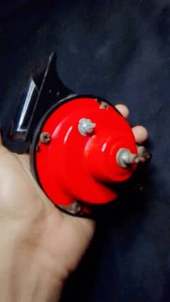 Bass