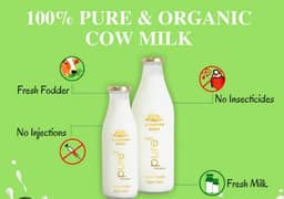 Pure Fresh Organic Milk 500 Liters Daily