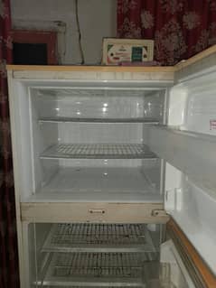 pel refrigerator