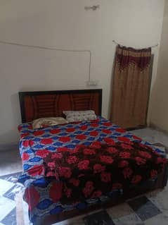 room for rent daily and monthly basis couple and family 0370+513+4239