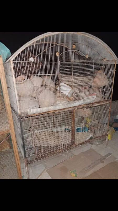 Birds Cage 1