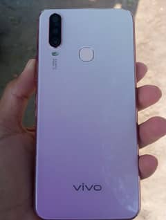 Vivo