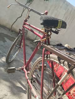 sohrab bicycle 10 by10 condition