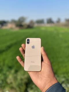 iPhone XS 256 gb unlock non pta golden colour