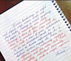 assignment handwriting work