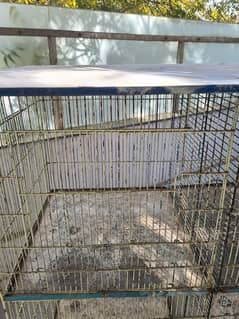 birds cage