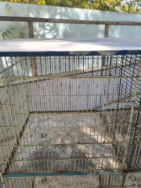 birds cage 0