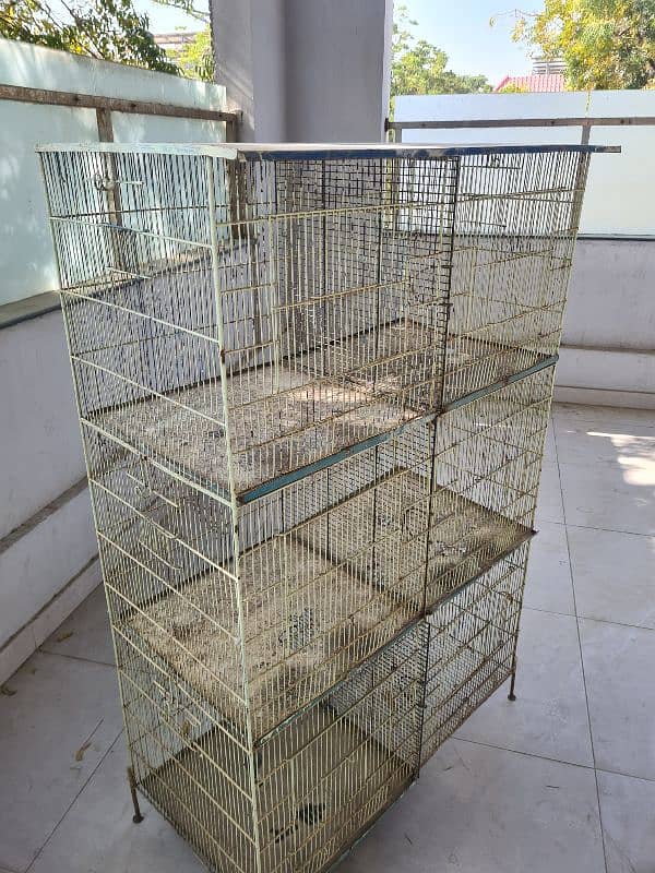 birds cage 4