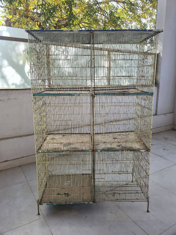 birds cage 5