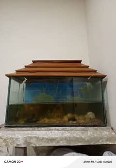 Aquarium